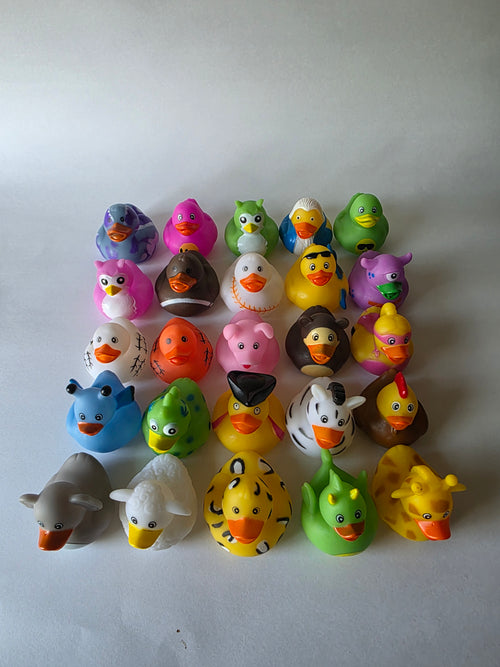 Novelty Character Rubber Ducks – 25-Pack Claw Machine Prize